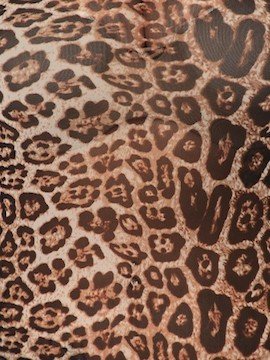 MLH Leopard Mesh Bodysuit - MLH Online